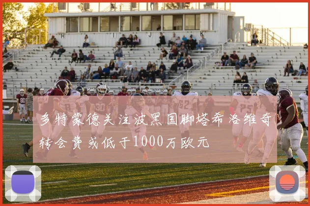 多特蒙德关注波黑国脚塔希洛维奇转会费或低于1000万欧元